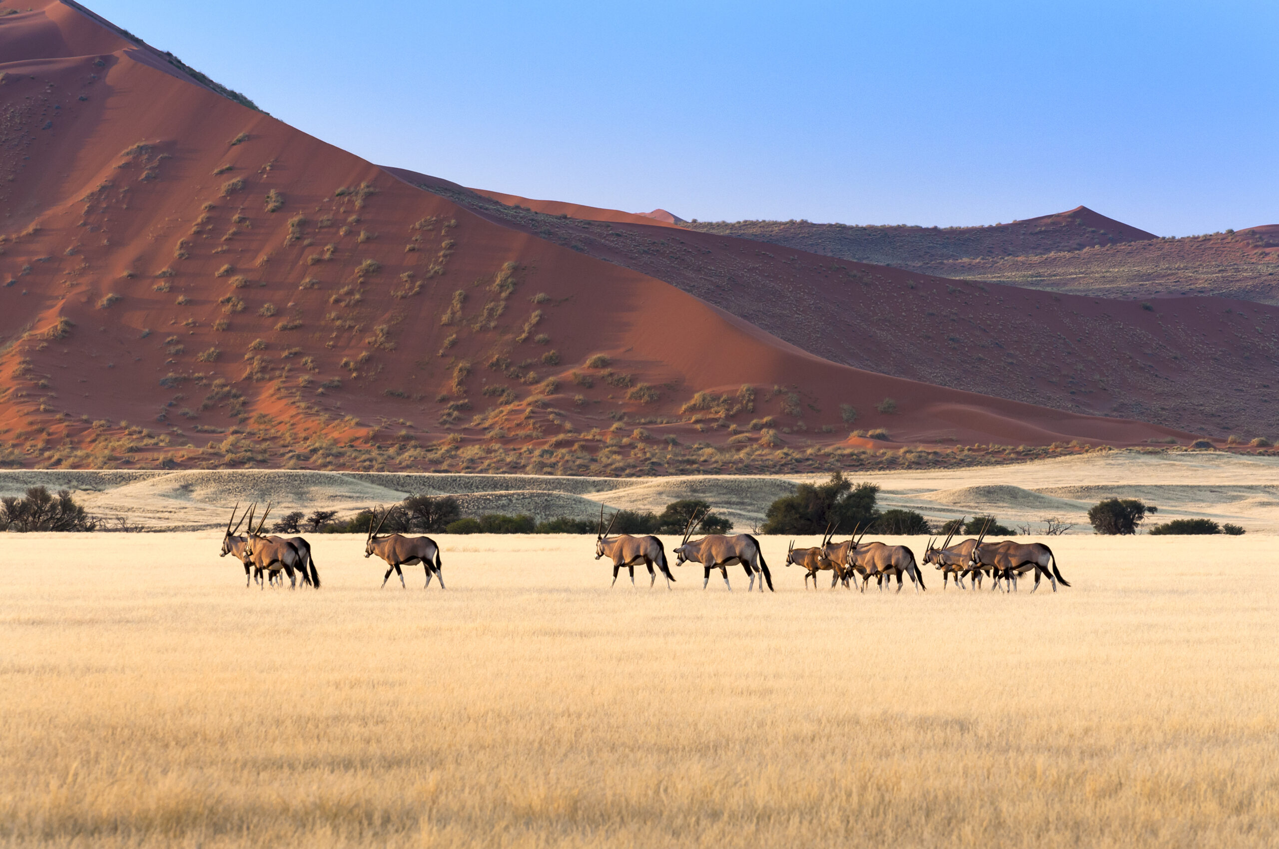 HOA-Namibia-scaled (1)